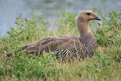 Killikus&reg; Fotographie